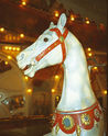 Demeyer horse head